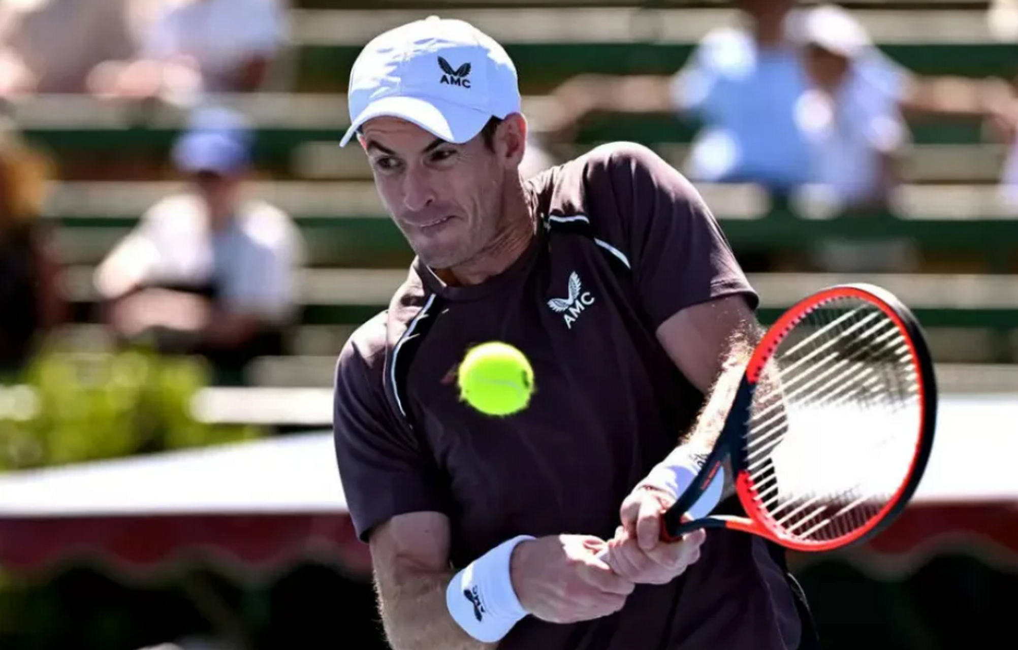 虎扑-关于穆雷回归赛场，大胜首场状态亮眼，雄鹿观众沸腾！的信息